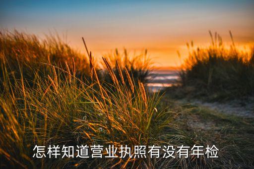 如何查询自己的营业执照是否年审，怎样知道营业执照有没有年检