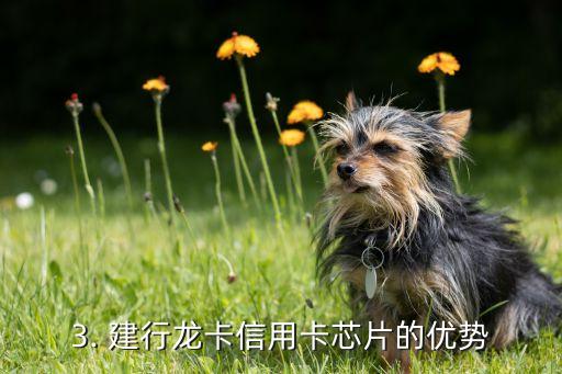建行龙卡信用卡芯片，建行龙卡信用卡升级芯片