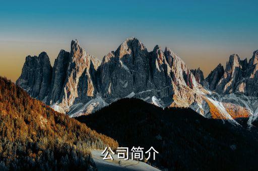 公司简介