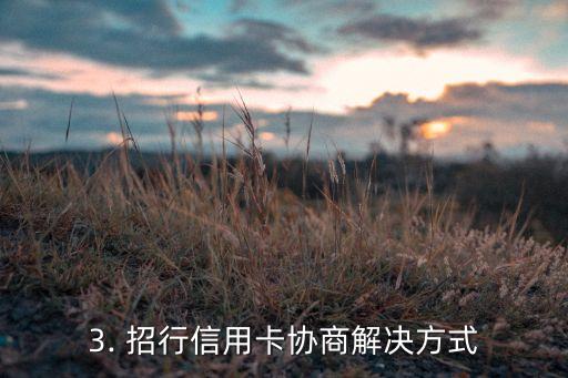 招商信用卡协商解决，招商信用卡协商解决方案