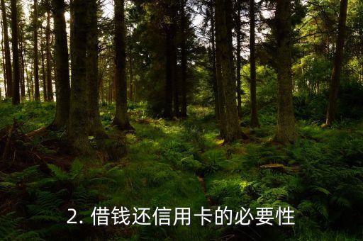 新浪借钱还信用卡，新浪财经向信用卡还款
