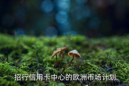 招行信用卡中心的欧洲市场计划