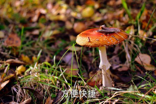 方便快捷