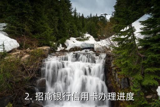 招商银行信用卡办理进度，招商银行信用卡办理进展情况