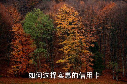 如何选择实惠的信用卡
