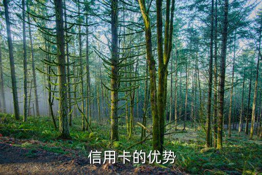 信用卡的优势