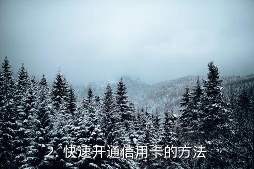 快速开通信用卡，快速开通信用卡，享受额度翻倍！