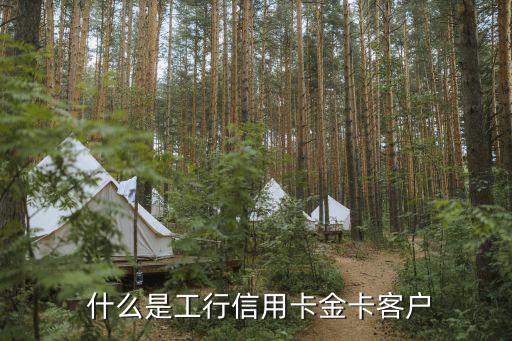 工行信用卡金卡客户，工行金卡客户信用卡特权