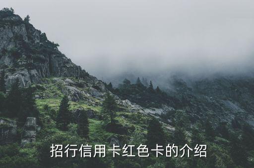 招行信用卡红色卡的介绍