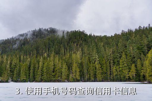 怎么查看自己信用卡，如何查看个人信用卡信息？