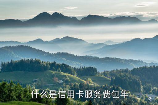 什么是信用卡服务费包年