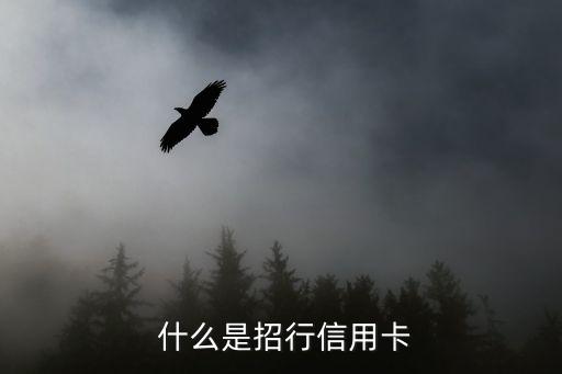 什么是招行信用卡