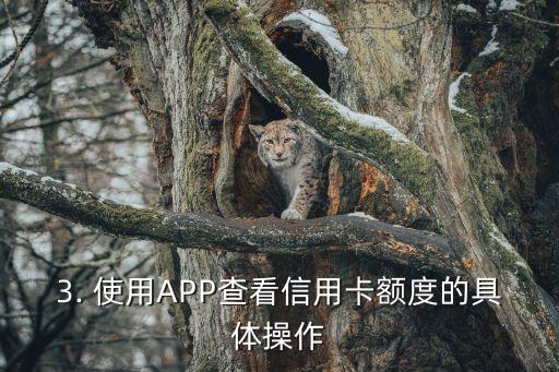 手机如何查信用卡额度，手机查信用卡额度的方法