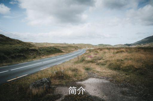 简介