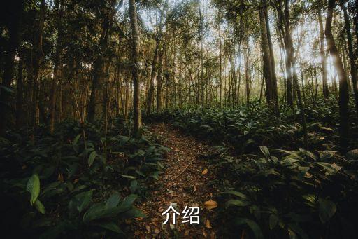 介绍
