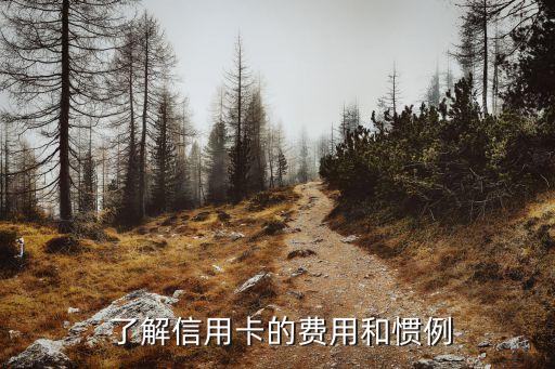 了解信用卡的费用和惯例