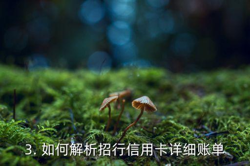 招行信用卡详细账单，招行信用卡详细账单——深入解析您的信用卡消费记录