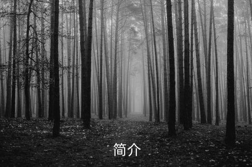 简介