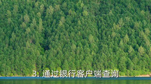怎样查几张信用卡，信用卡查询攻略：轻松查几张信用卡