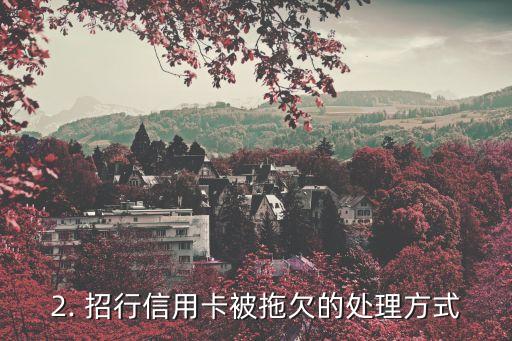 拖欠招行信用卡，招行信用卡被拖欠，银行上门催收