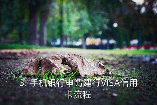 怎么办建行visa信用卡申请，建行VISA信用卡申请攻略