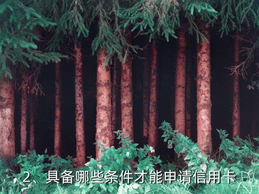 小白怎么开信用卡，如何申请自己的首张信用卡？