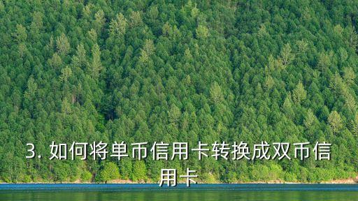 单币信用卡转双币卡，信用卡从单币转换为双币的操作步骤