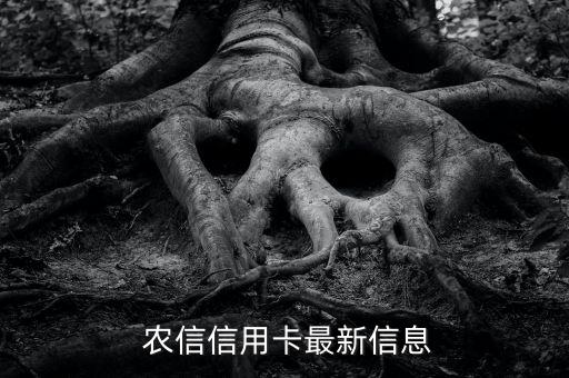 农信信用卡最新信息