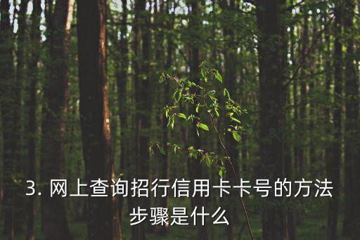 招行信用卡 卡号查询，招行信用卡卡号查询方法