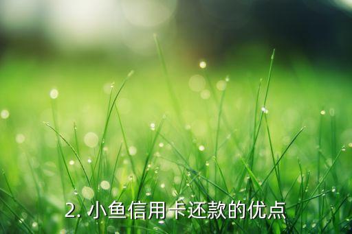 小鱼信用卡还款，小鱼信用卡还款-优惠尽享！