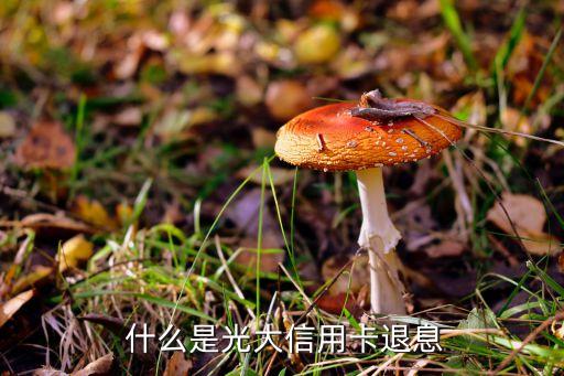 什么是光大信用卡退息