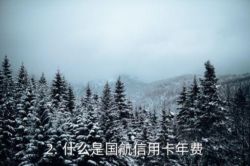 国航信用卡免年费，国航信用卡年费免除的好处
