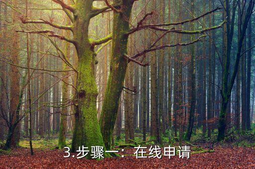 平安由你信用卡申请，平安信用卡申请步骤详解
