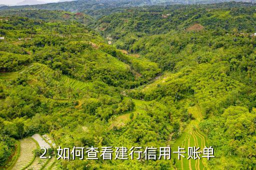 建行信用卡账单解读，建行信用卡账单详解