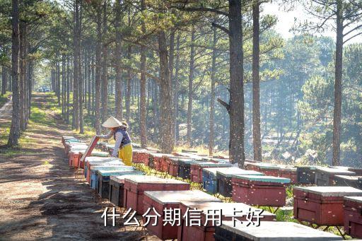 什么分期信用卡好