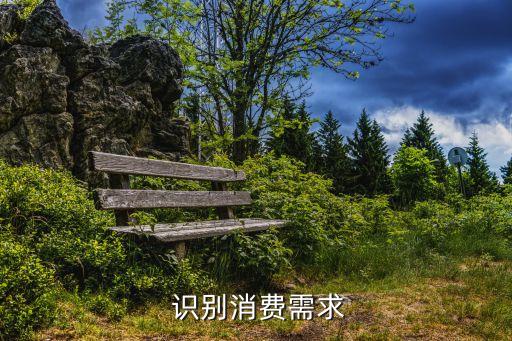 识别消费需求