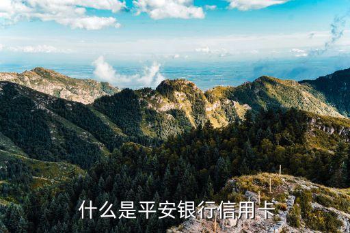 什么是平安银行信用卡