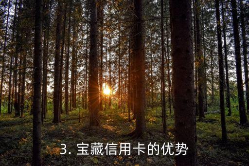 宝藏信用卡是什么，宝藏信用卡的含义是什么