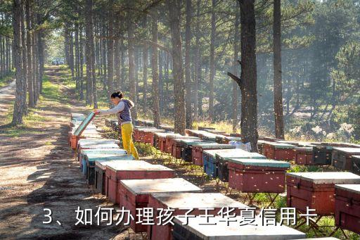 孩子王华夏信用卡，孩子王华夏信用卡的故事