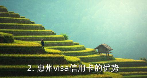 惠州visa信用卡，惠州发行visa信用卡