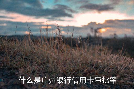 什么是广州银行信用卡审批率