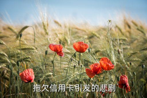 拖欠信用卡引发的悲剧