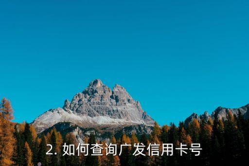 怎么查询广发信用卡号，如何查询广发信用卡号