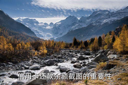 信用卡还款余额截图的重要性