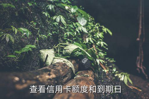 查看信用卡额度和到期日