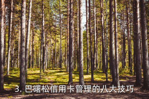 巴曙松信用卡，巴曙松：信用卡管理大师