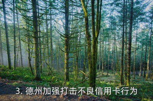 德州信用卡严打，德州加强打击不良信用卡行为