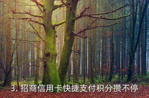 招商信用卡 快捷支付 积分，招商信用卡快捷支付积分攒不停