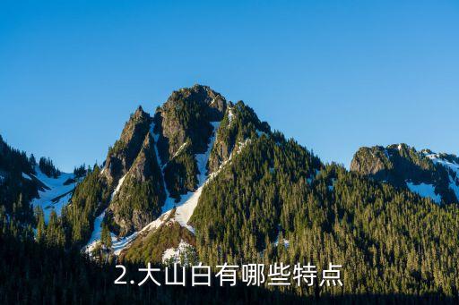 建行信用卡大山白，建行信用卡推出大山白，助你轻松享受特惠福利