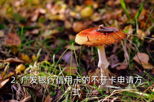 广发银行信用卡 不开卡，广发银行信用卡无需开卡，轻松获得